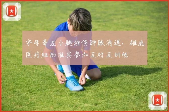 字母哥左小腿挫伤肿胀消退，雄鹿医疗组批准其参加五对五训练